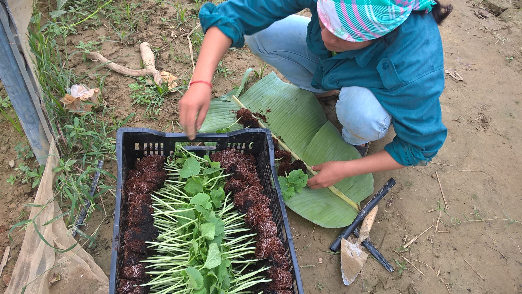 14324493 592796444256813 7570165214112980769 o