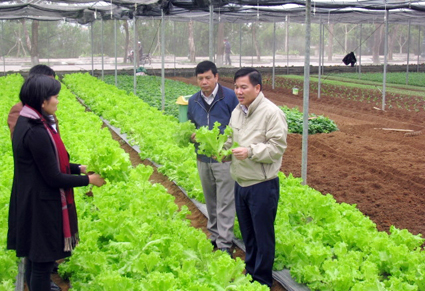 T2-Hieu-qua-mo-hinh-Can-bo-So-NN-kiem-tra-mo-hinh-