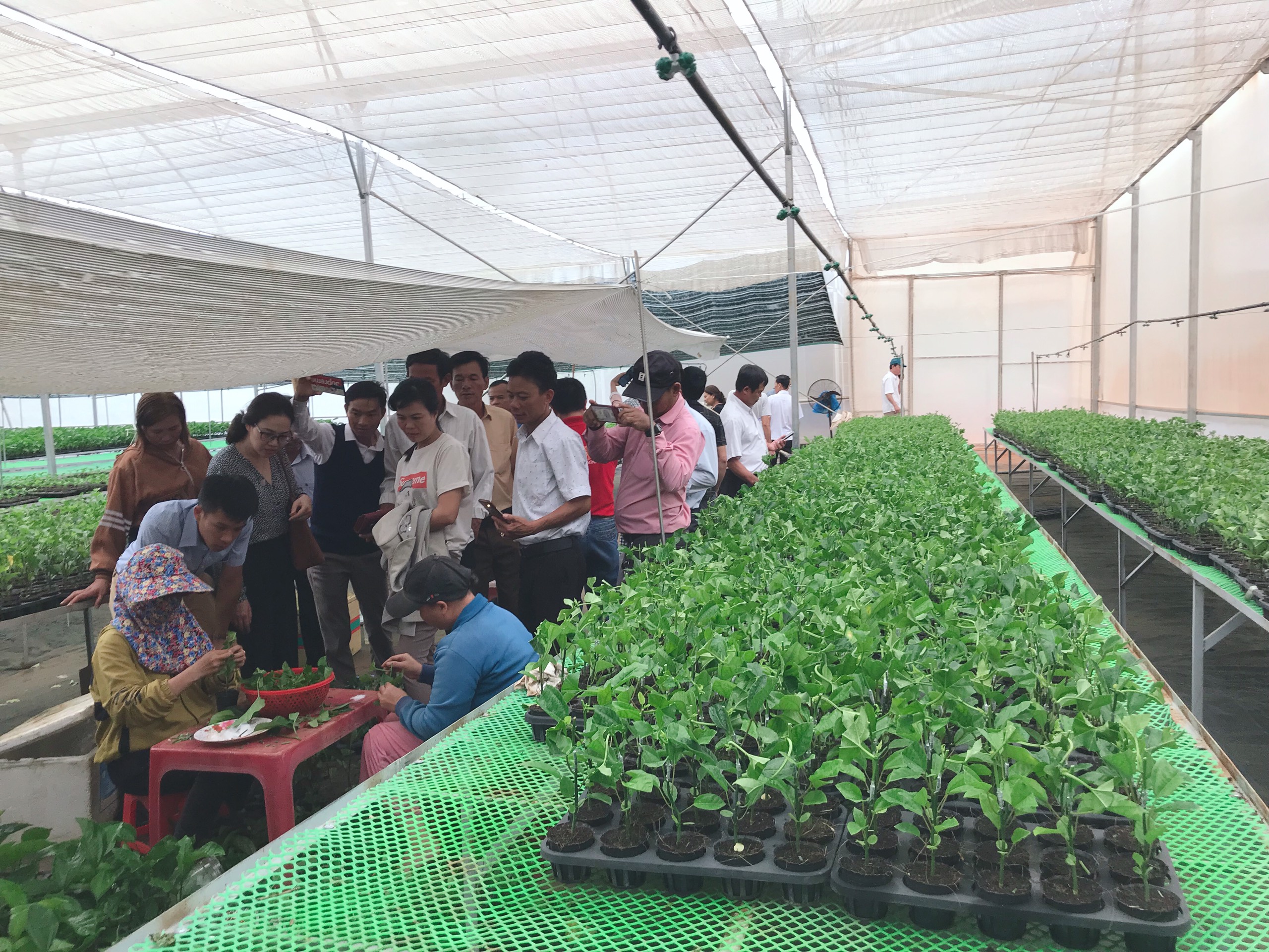 Hình ảnh các lớp đào tạo, bồi dưỡng tham quan mô hình thực tế 6 tháng đầu năm 2020