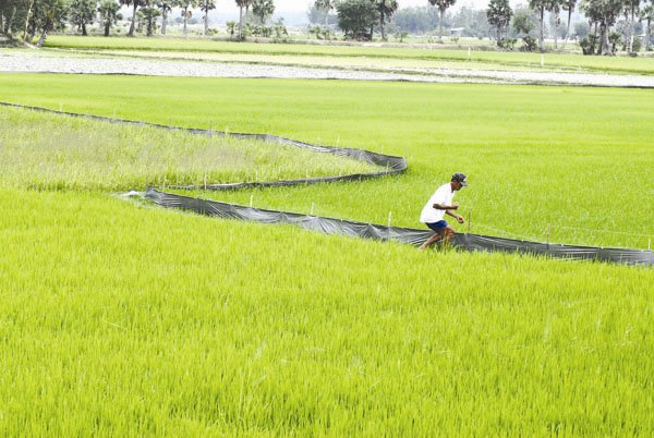 f09db chinh sach han dien